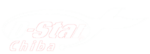 身体障害者野球 千葉ドリームスター